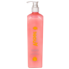 Angel Color ProtectAMB-201-2  Шампунь для фарбованого волосся   500мл